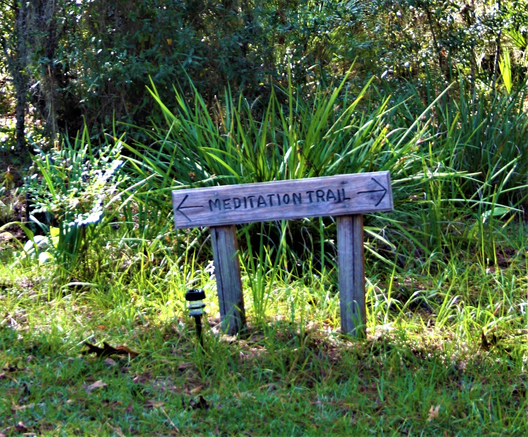 MEDITATION TRAIL