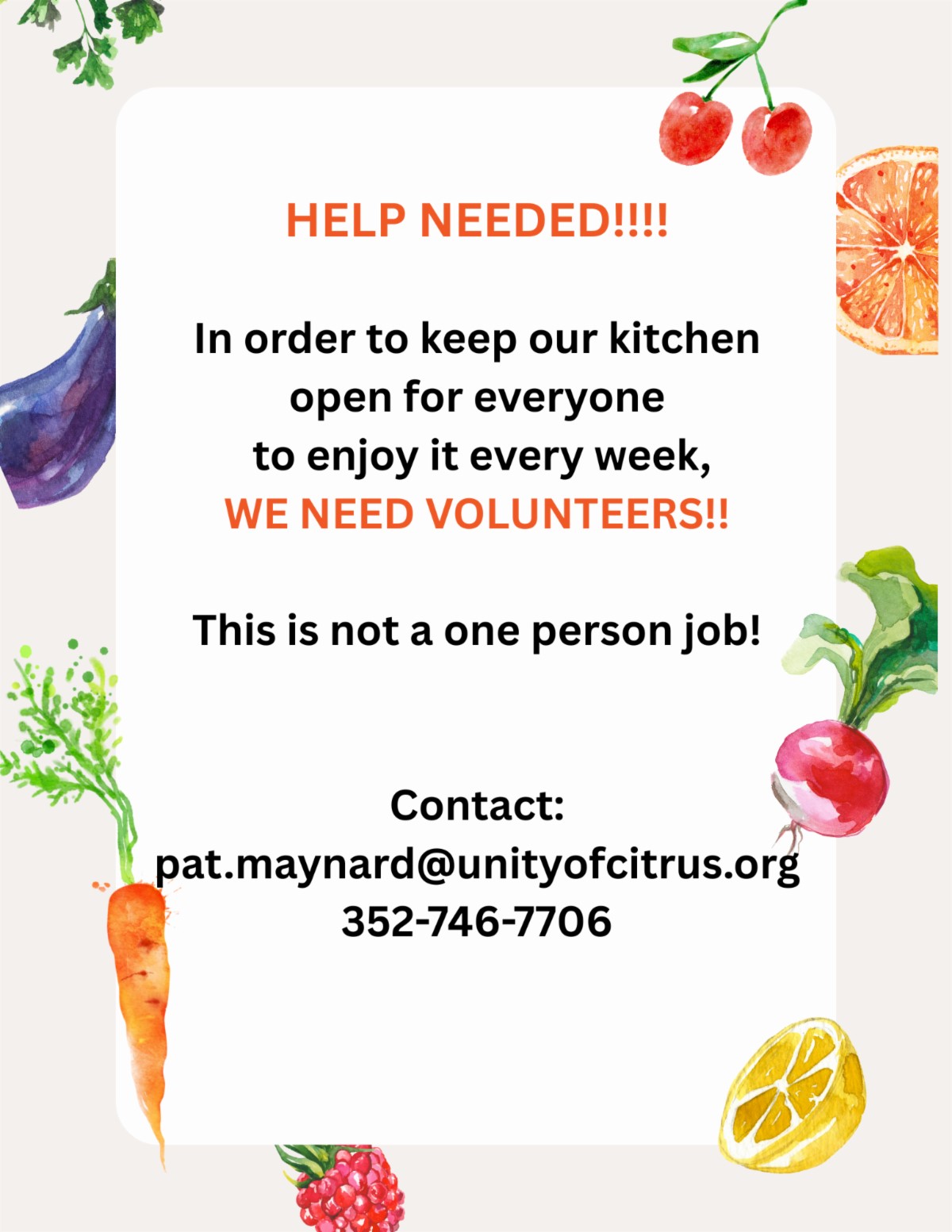 Kitchen Volunteers