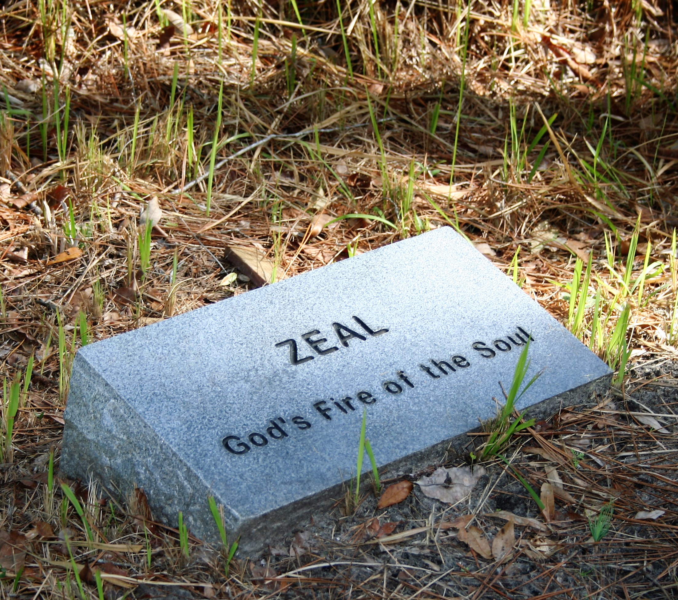 ZEAL